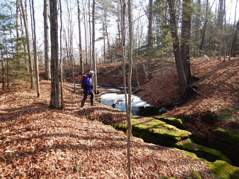 16114371_10208914011192146_2850515774574106411_n