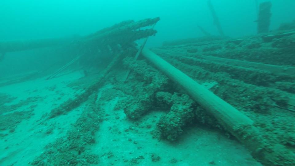 14141643_10207730713050432_1276250832111822075_n